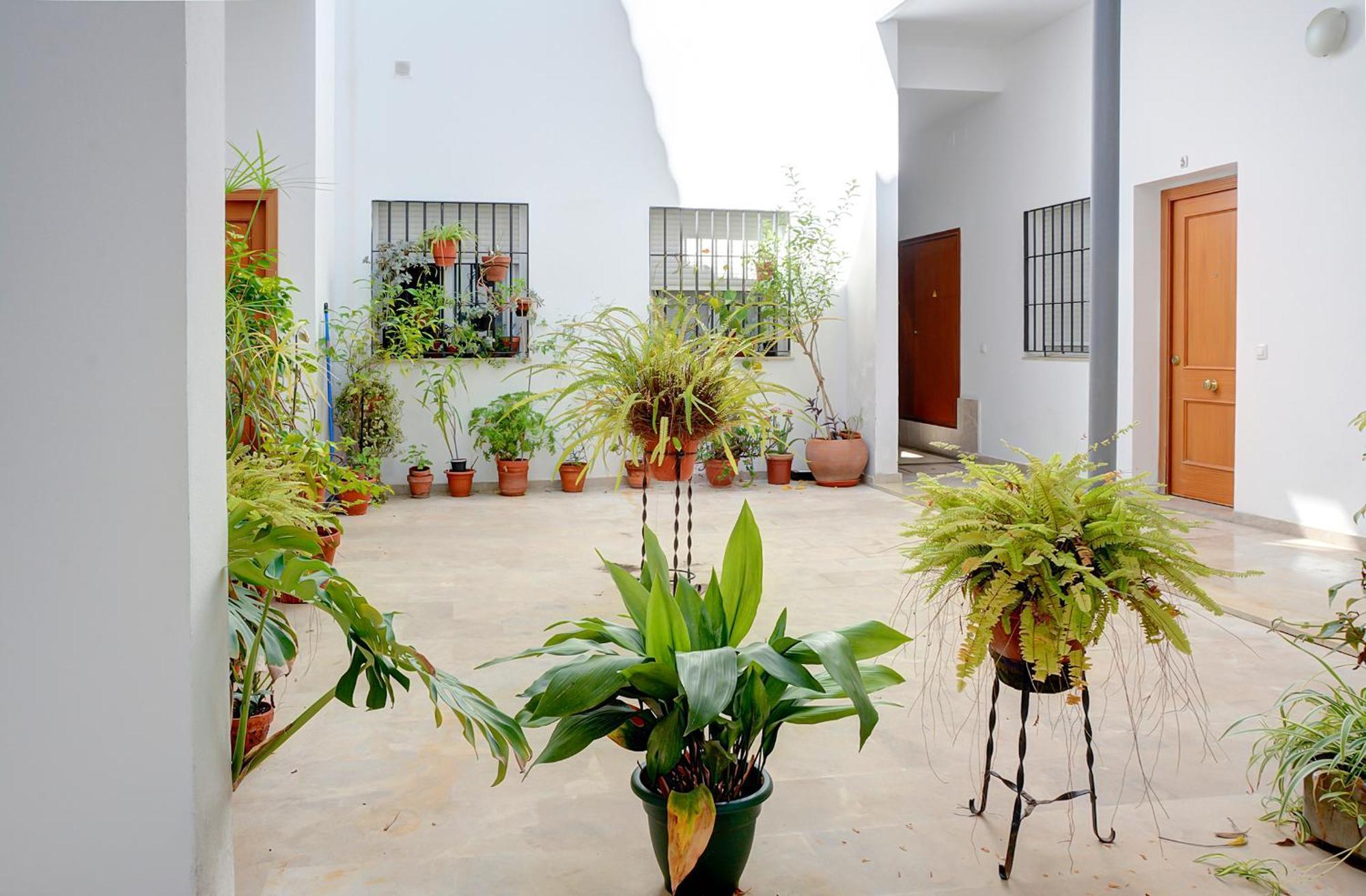 Magical Studio In The Center Feijoo Seville Exterior photo